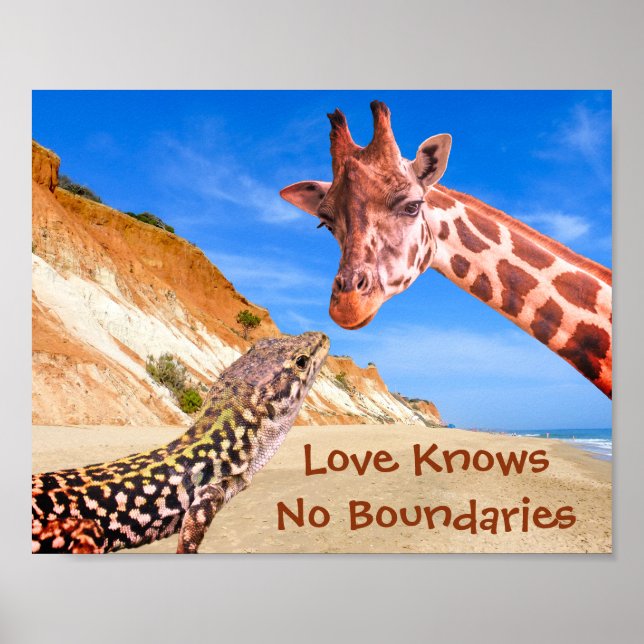Funny Animal Photomontage Love Knows No Boundaries Poster (Front)