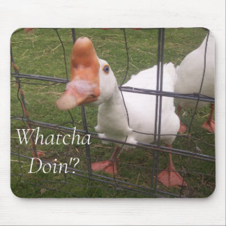 Funny Animal Pictures Mouse Pad