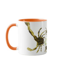 Funny Animals Abstract Crabs and Fish Rock Pool