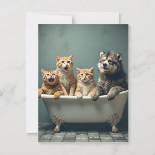 Funny animals in bathtub postcard