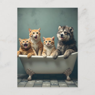 Funny animals in bathtub postcard