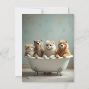 Funny animals in bathtub postcard