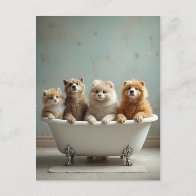 Funny animals in bathtub postcard (Front)