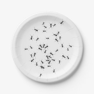 Funny ant. Ants all Over the place Paper Plate