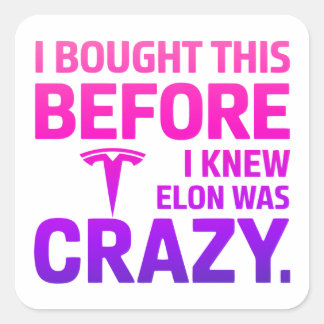 Funny Anti-Elon Musk Vinyl Sticker for Cars & Wind