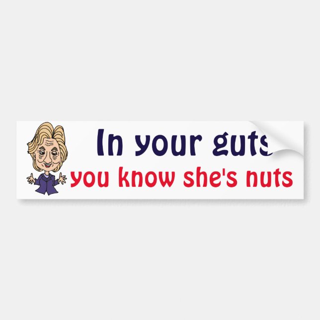 Funny anti Hillary Political Bumper Sticker (Front)