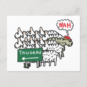 Funny Anti Trudeau Postcard