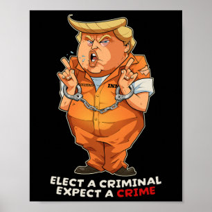 Funny Anti-trump Elect A Criminal Crimes Funny Ant Poster