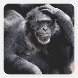 Funny Ape Sticker
