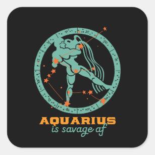 Funny Aquarius Zodiac Star Astrology Birthday Square Sticker