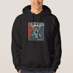 Funny Are We Great Yet Cause I Just Feel Embarrass Hoodie