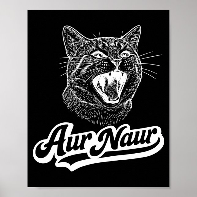 Funny Aur Naur Cat Sarcastic Oh Poster (Front)