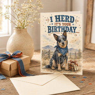 Funny Australian Cattle Dog Birthday  Card