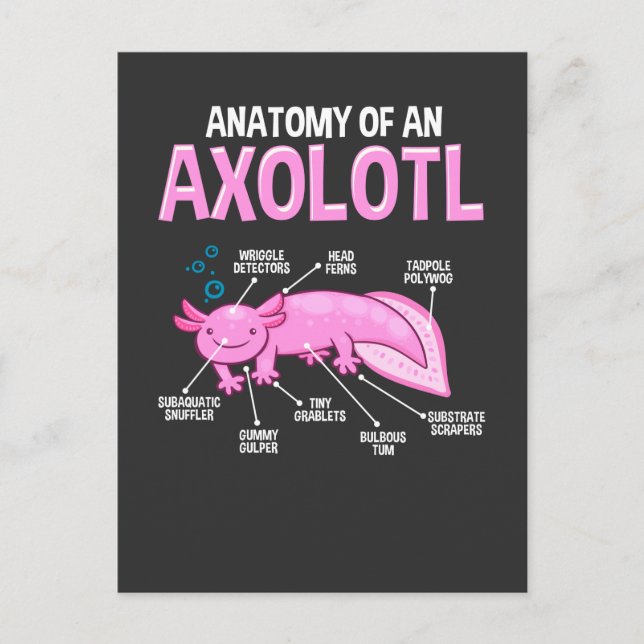 Funny Axolotl Anatomy Biology Cute Amphibian Postcard (Front)