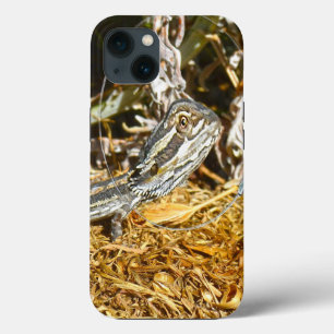 Funny Baby Bearded Dragon, iPhone 13 Case