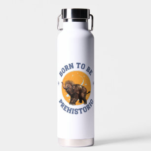 Funny Baby Mammoth Prehistoric Birthday Water Bottle