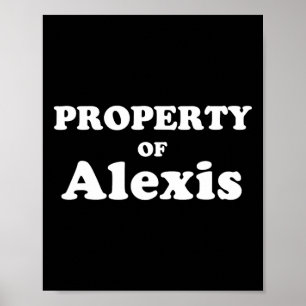 Funny Bachelor Gifts For Groom Property Of Alexis  Poster