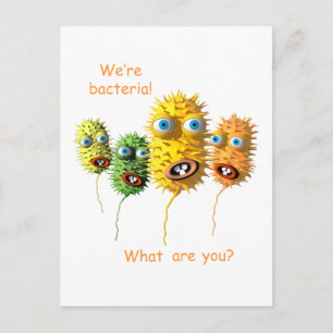 Funny Bacteria Postcard