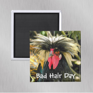 Funny Bad Hair Day Chicken Meme Magnet