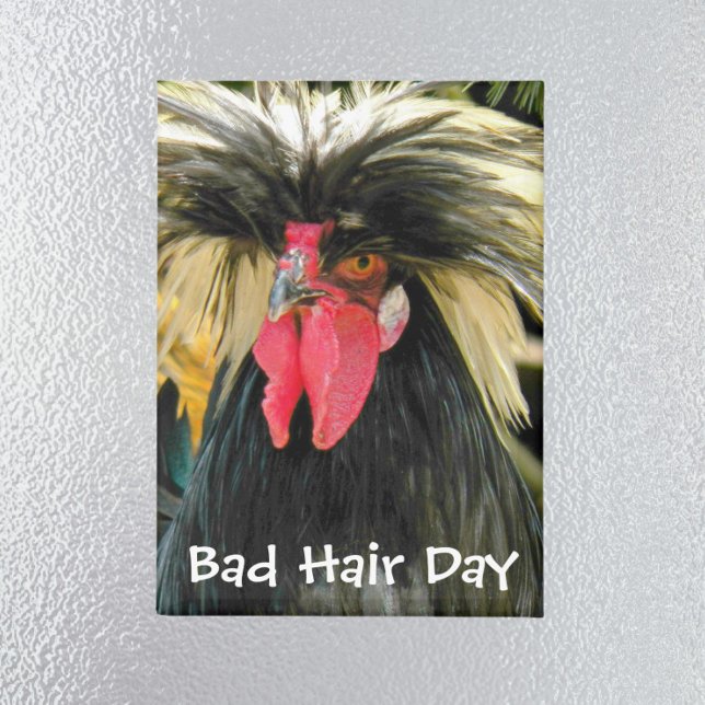 Funny Bad Hair Day Chicken Meme Magnet (In Situ Fridge)