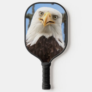 Funny Bald Eagle Face Wildlife Photography Pickleball Paddle