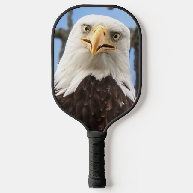 Funny Bald Eagle Face Wildlife Photography Pickleball Paddle (Front)