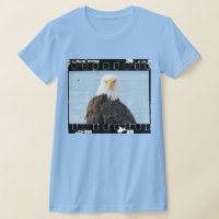 Funny Bald Eagle Grumpy Faces Film Strip