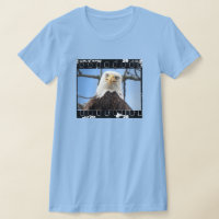 Funny Bald Eagle Stare Face Film Strip