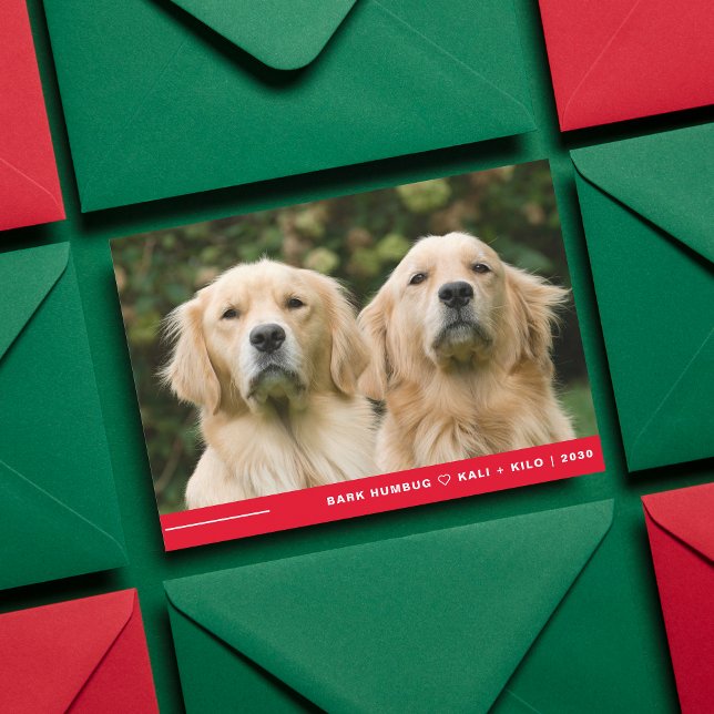 Funny Bark Humbug Dog Photo Christmas Personalised Holiday Card (Creator Uploaded)