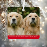 Funny Bark Humbug Dog Photo Christmas Personalised Metal Tree Decoration<br><div class="desc">Celebrate the holidays with a touch of humour and charm with our Funny Bark Humbug Dog Photo Christmas Personalised Metal Ornament! This playful ornament is perfect for pet owners who love to showcase their furry friends with a little seasonal sass. Featuring the cheeky "Bark Humbug" phrase, this ornament lets you...</div>