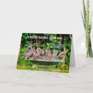 Funny Bathing Birds Birthday Card