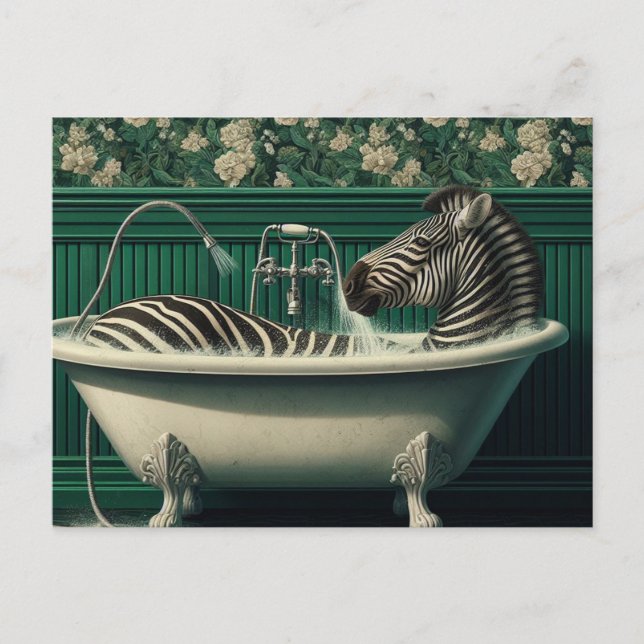 Funny Bathtub Zebra Postcard (Front)