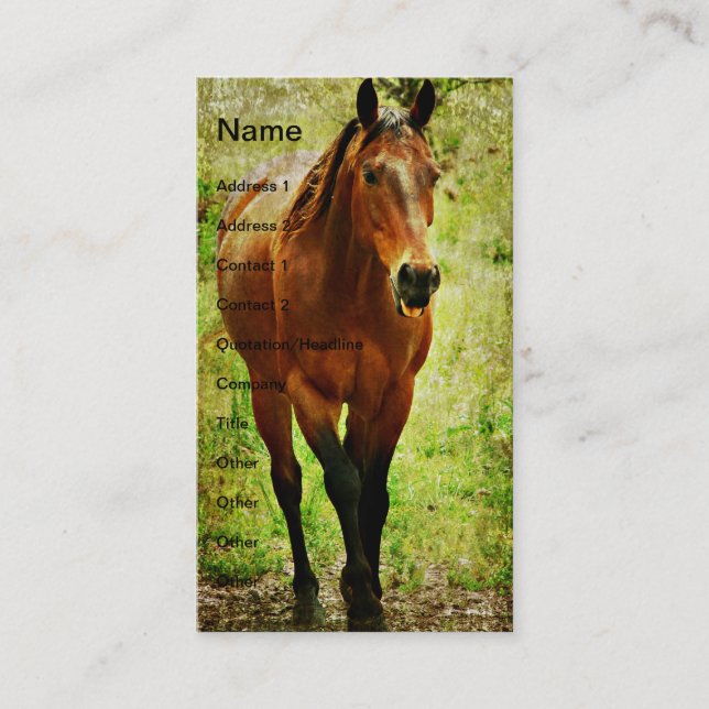 Funny Bay Horse Business Card (Front)