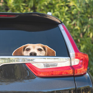 Funny Beagle Dog Half Face