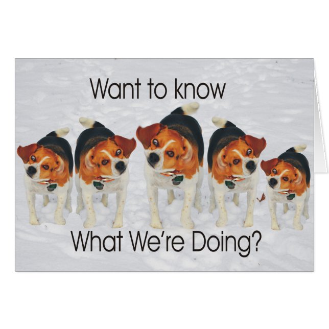 Funny Beagle Ears Flapping Beagle Line Dancing (Front Horizontal)
