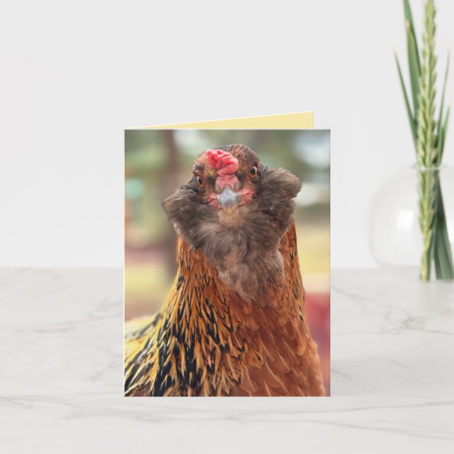Funny Bearded Chicken Head Close-Up  Card (Front)