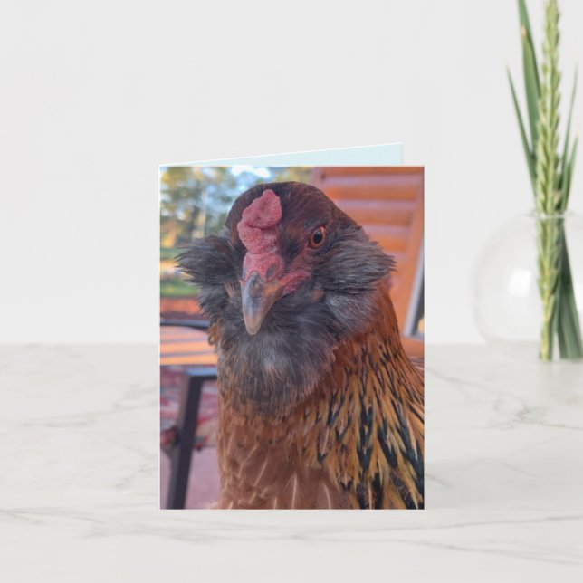 Funny Bearded Chicken Head Close-Up  Card (Front)