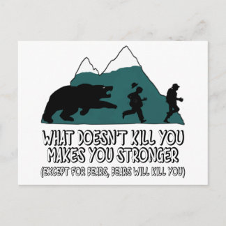 Funny bears postcard