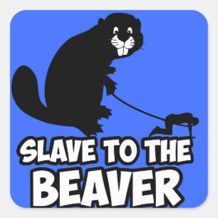 Funny Beaver Square Sticker
