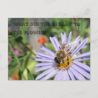 Funny Bee Postcard