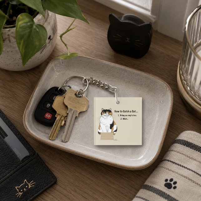 Funny Beige Calico Cat Box Humour Caught Key Ring (Creator Uploaded)