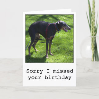 Funny belated birthday dog greeting card