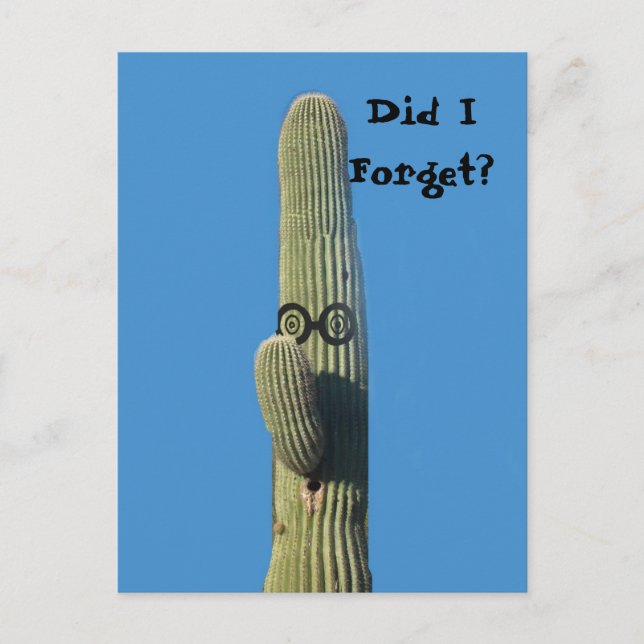 Funny Belated Birthday Greeting Postcard (Front)