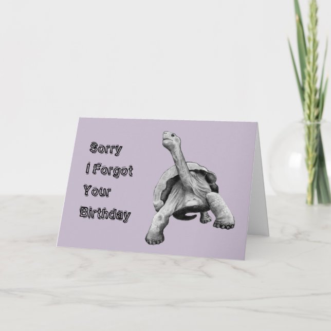 Funny Belated Birthday, Slow Turtle, Pencil Art Card (Front)