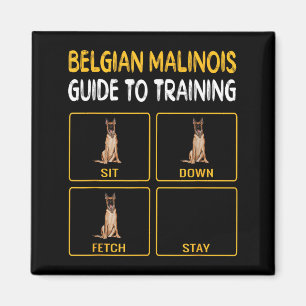 Funny Belgian Malinoi Guide To Training Dog Magnet