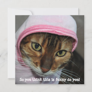 Funny Bengal Cat, "So you think this is funny..." Holiday Card