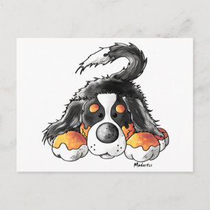Funny Bernese Mountain Dog Cartoon Postcard