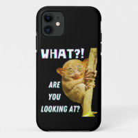 Funny Big Eyed Tarsier What Are You Looking At