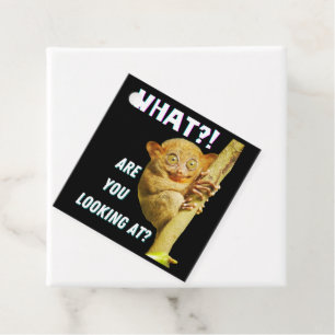 Funny Big Eyed Tarsier What Are You Looking At Favour Tags
