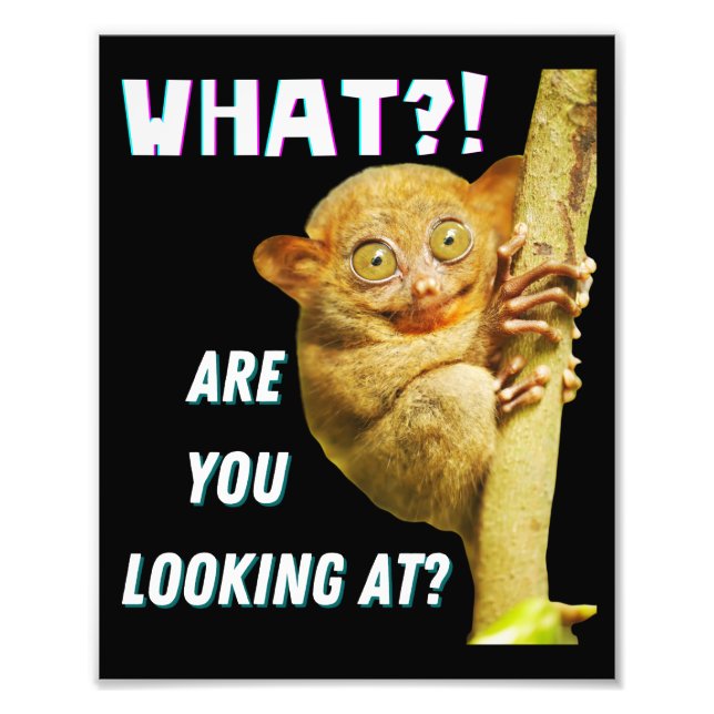 Funny Big Eyed Tarsier What Are You Looking At Photo Print (Front)